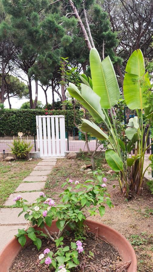 Villino Sunshine Villa Santa Margherita di Pula Eksteriør bilde